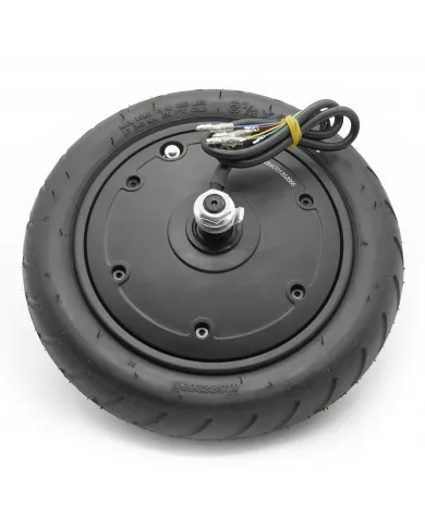 Moteur 350W pneu + chambre à air arrière Motus Scooty 8.5 +