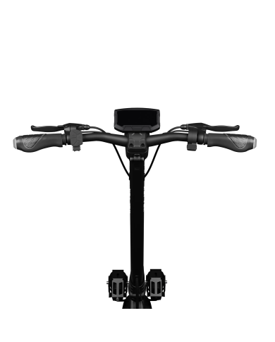 Trottinette électrique RUPTOR R6 V4 Black