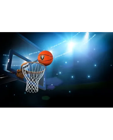 Ballon de basket Lamborghini 7 LBB10-7 Streetball Orange taille 7